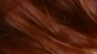Кляп и кнут этот озорной брюнетки раб