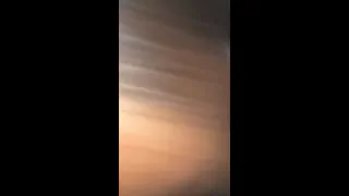 Лучшая неряшливая голова