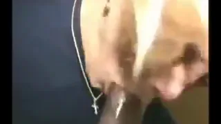 Блондинка жена кричит большой черный хуй с сперма в жопе