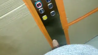 Дрочил мой хуй в холле и лифте - чуть не поймали