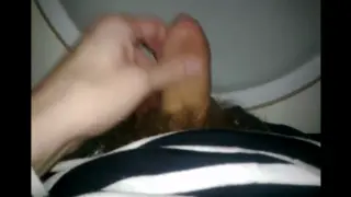 Датская Номер Бюр 2013 357