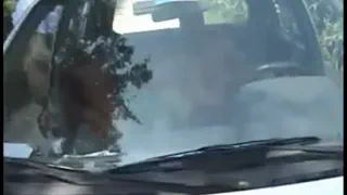 Транссексуал Шлюха Бьянка Трахнул в Машине