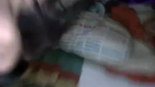 Дези Индийская девушка трахает ее парень