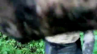 Пролог грязи