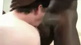 Рогоносец Коза Кабре пьет молоко