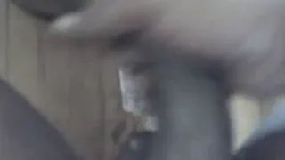 Бруклин черный член