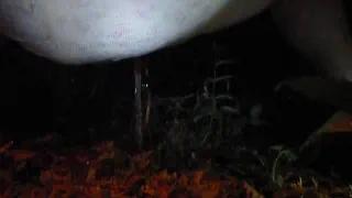 Девушки писают трусики на С