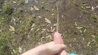 Ссать на обочине