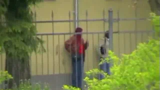 Ссыт в природе 2870