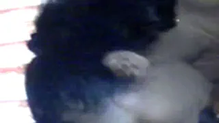 Чистый свежий дези девушка