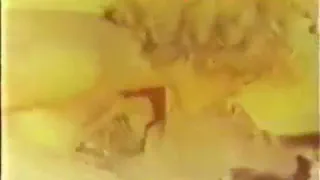 7 0810 240 непристойный ебля вокруг с