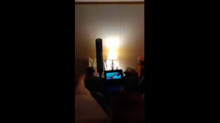 Теребит яйцо на Прокси Пейдж
