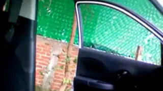 пиде дие ла русское в Эль-авто Г се-ля Комо