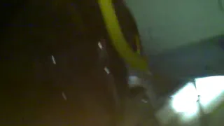 Писает на открытом автобусе почти застукали