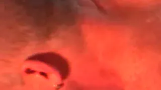 Старшего Медведя И Молодого Львенка