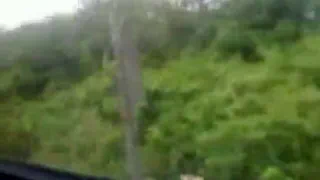 Друзья на