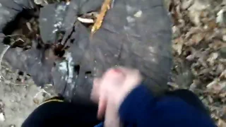 Рвануть в лес спермой