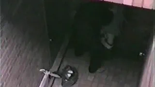Публичный Секс в Ночное Время