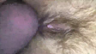 Супер крупным планом трахать ее волосатую киску и анус