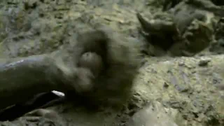 Грязевые ванны Джо