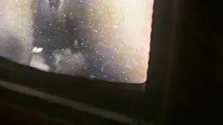 Любитель магазинов