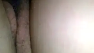Коллекция
