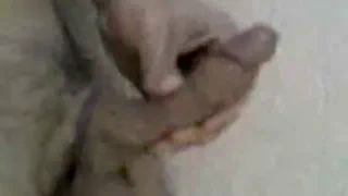 Отскакивая шарики на улице