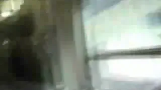 Сосет член в поезде