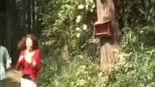 Женщина в красном платье танцует в лесу а мужчина наблюдает за ней