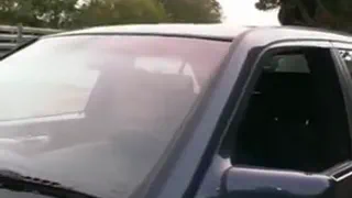 Озорная Латина девушка берет несколько молодых и старых хуев