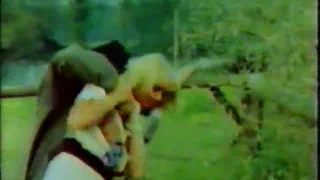 Супер супер бестия 1978 - итальянский классический