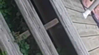 Летнее время ноги часть 1