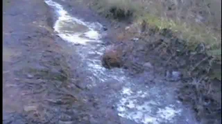 Солнечный зимний день