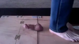 Яйца растоптали