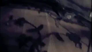 Лейси Куколка