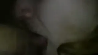 Моя жена любит сосать хуй
