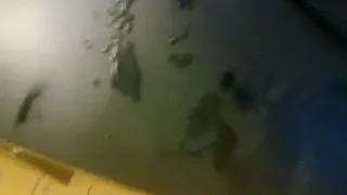 Датский парень Апреля 2013 Года № 12