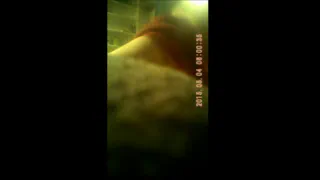 Кто-то совершает половой акт в закрытой комнате