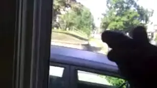 Брошенный в окно