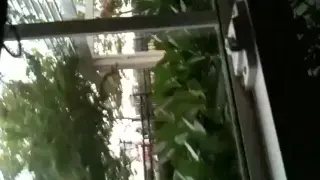 Спасатель засвет 2