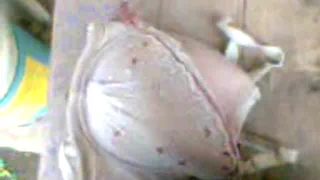 Сосед трусики 2