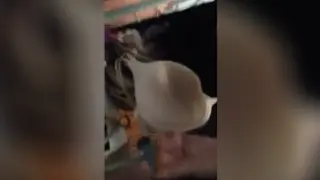 Сперма в ящик с трусиками друга