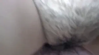 Мне зайцы у меня ло