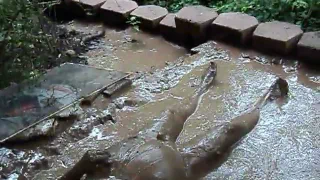Наслаждаясь моей грязевые ванны