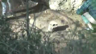 Ссыт на природе 9102