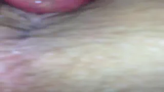 Бд Бб
