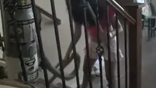 Вакуумные Лестнице