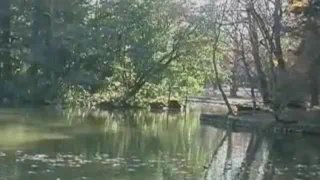 Табу в Японском Стиле 1 0
